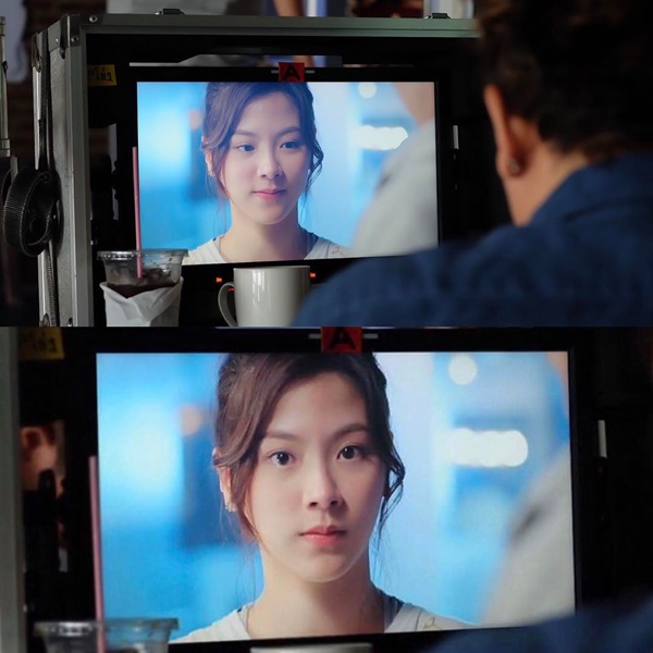 ใบเฟิร์น