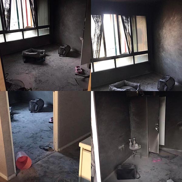 แจ็ค แบล็คแจ็ค