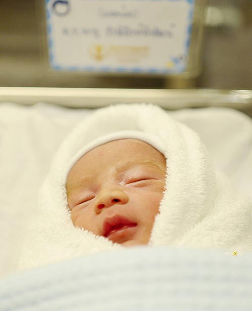 ชมพู่ น็อต