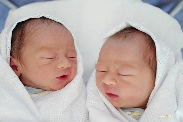 น้องสายฟ้า น้องพายุ