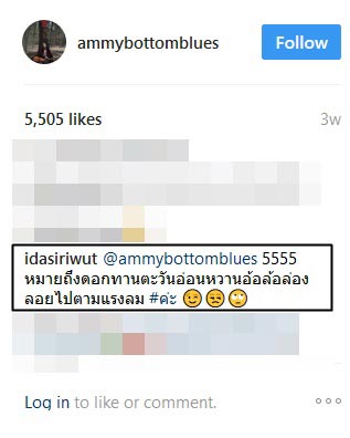 แอมมี่ ไอด้า