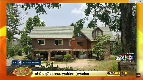 หมาพิทบูลกัดเจ้าของ