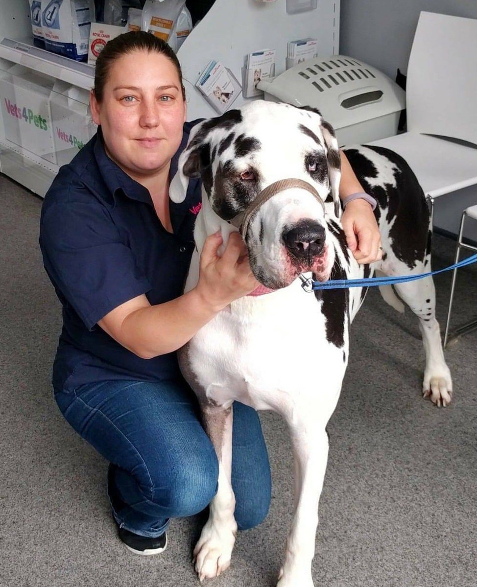 ลูกแมวตาบอด