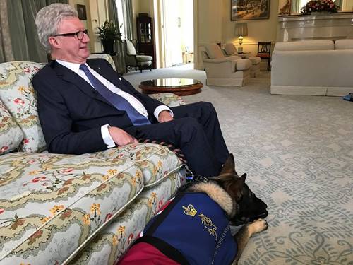 สุนัขตำรวจขี้เล่นเกินไปจนถูกปลด