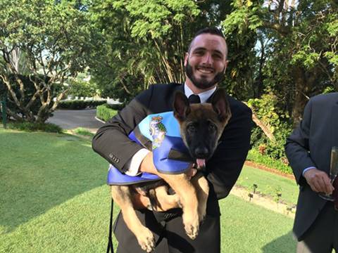 สุนัขตำรวจขี้เล่นเกินไปจนถูกปลด