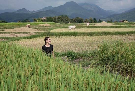 แอน ทองประสม 