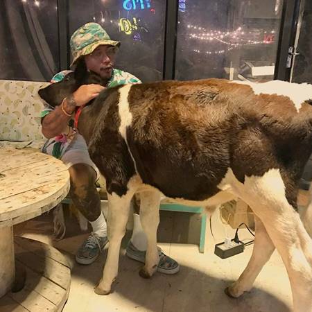 สัตว์เลี้ยงแสนรักของ ตุ๊กกี้-บูบู้