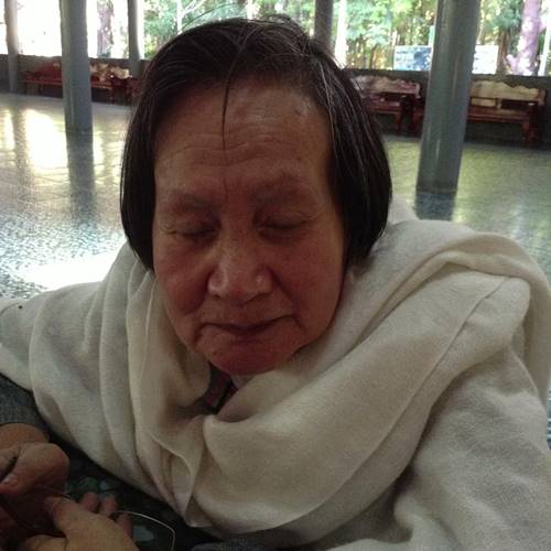 ป้าติ่ง พิมพ์พรรณ 