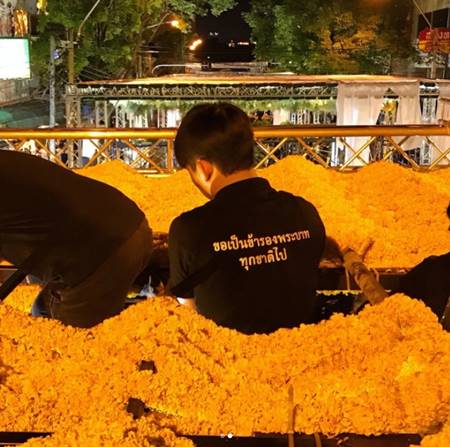 หมอก้อง