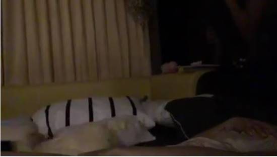 ฮาแค่ไหนถามใจดู ! กุ๊บกิ๊บ - บี้ ขำกระจาย เมื่อน้องเป่าเปานอนละเมอแล้วเป็นแบบนี้