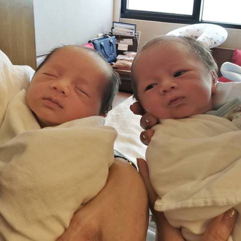 ชมพู่ อารยา