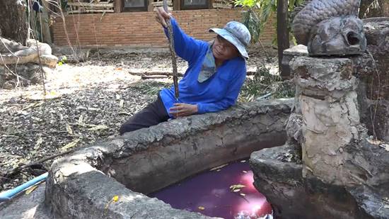 ฮือฮา ! พบบ่อน้ำศักดิ์สิทธิ์ในวัดร้างเมืองโคราช น้ำสีชมพูใส-เชื่อช่วยรักษาโรค