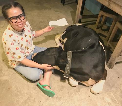 สัตว์เลี้ยงแสนรักของ ตุ๊กกี้-บูบู้