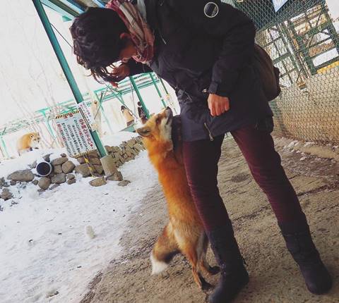 ชมหมู่บ้านสุดเจ๋งในญี่ปุ่น เต็มไปจิ้งจอกน่ารักมุ้งมิ้ง เห็นแล้วใจละลาย (มีคลิป)