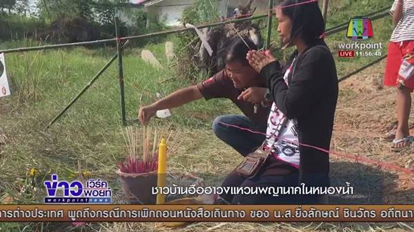 วงแหวนพญานาค