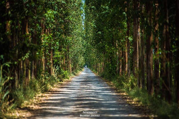 ที่เที่ยวใกล้กรุงเทพฯ