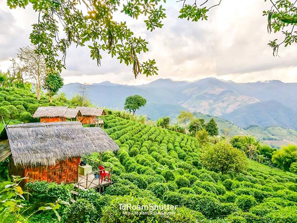 ที่เที่ยวน่าน