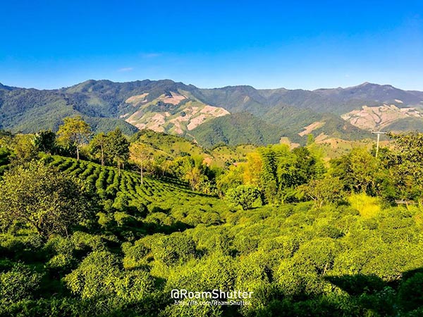 ที่เที่ยวน่าน