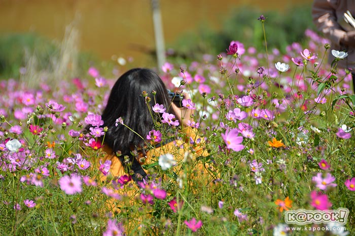 ที่เที่ยวเขาค้อ