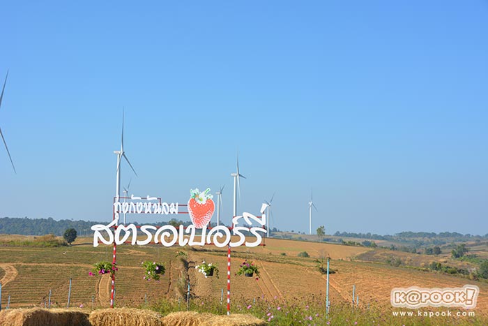 ที่เที่ยวเขาค้อ