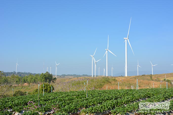 ที่เที่ยวเขาค้อ