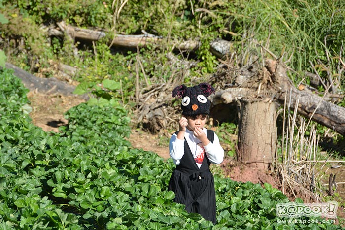 ที่เที่ยวเขาค้อ