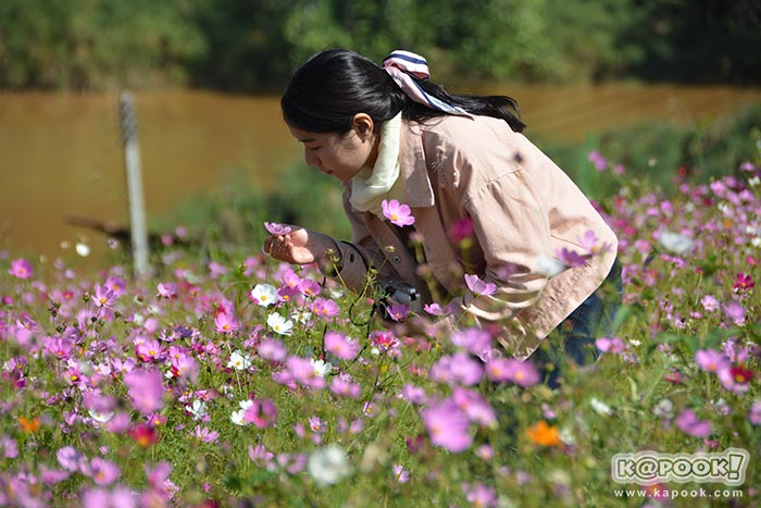 ที่เที่ยวเขาค้อ