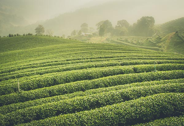 ที่เที่ยวหน้าฝน