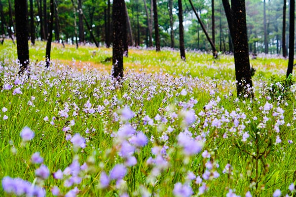 ที่เที่ยวหน้าฝน