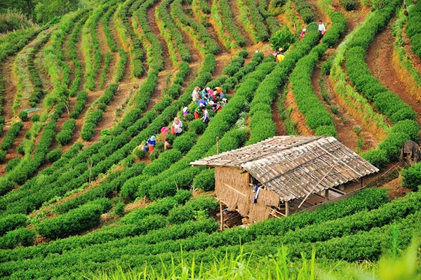 ที่เที่ยวหน้าฝน