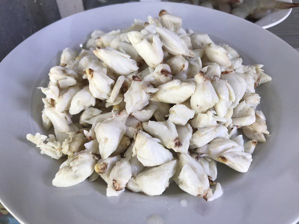 แกงเขียวหวานทะเล