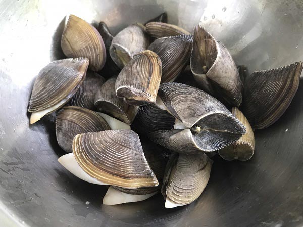 แกงเขียวหวานทะเล