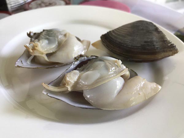 แกงเขียวหวานทะเล