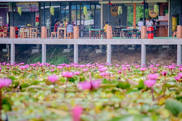 ตลาดน้ำทุ่งบัวแดง