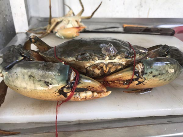 วิธีนึ่งปูในกระทะ