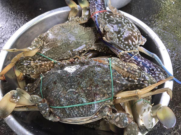 วิธีนึ่งปูในกระทะ