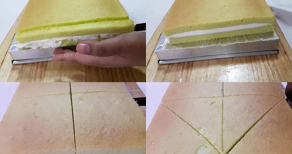 ชิฟฟ่อนใบเตย