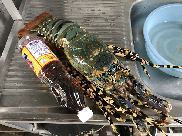 ไข่เจียวกุ้งมังกรเฮียไฝ