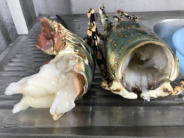 ไข่เจียวกุ้งมังกรเฮียไฝ