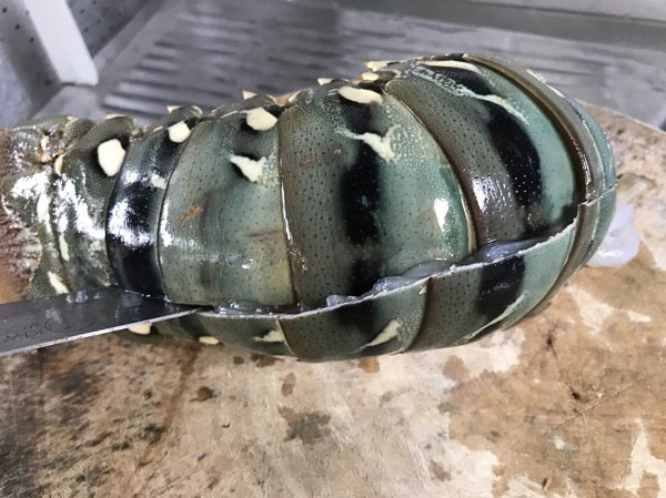 ไข่เจียวกุ้งมังกรเฮียไฝ