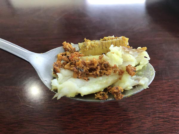 ปลากระบอกทอดขมิ้น