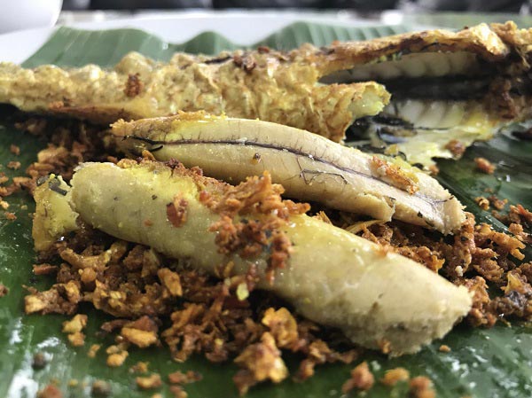 ปลากระบอกทอดขมิ้น