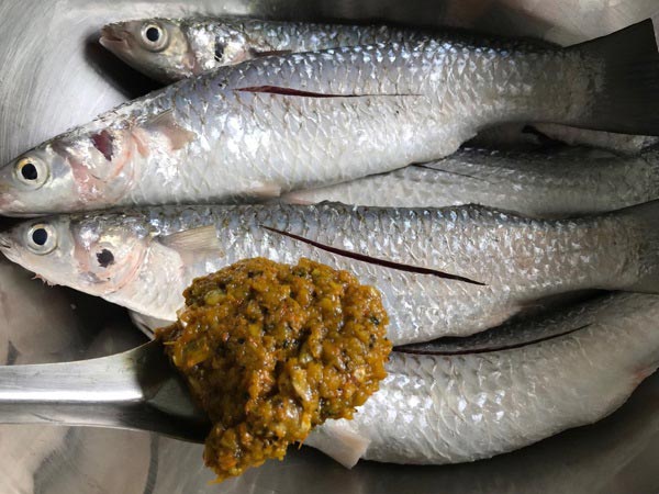 ปลากระบอกทอดขมิ้น