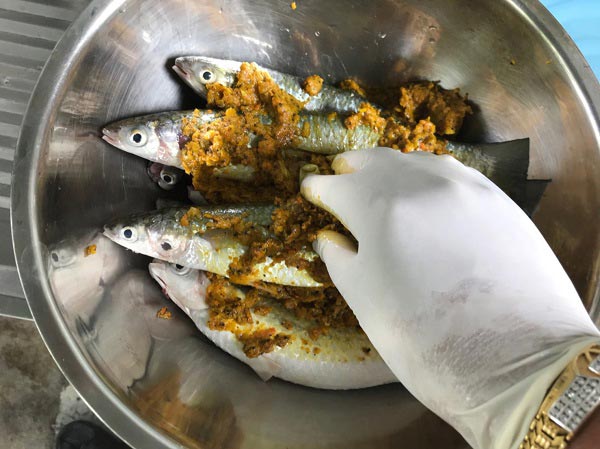 ปลากระบอกทอดขมิ้น