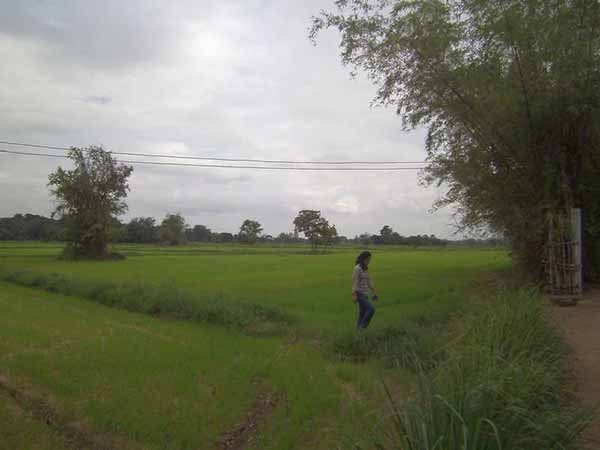 กระท่อมปลายนา 