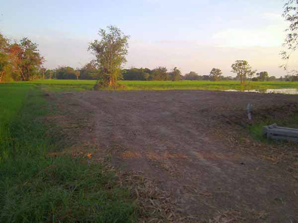 กระท่อมปลายนา 