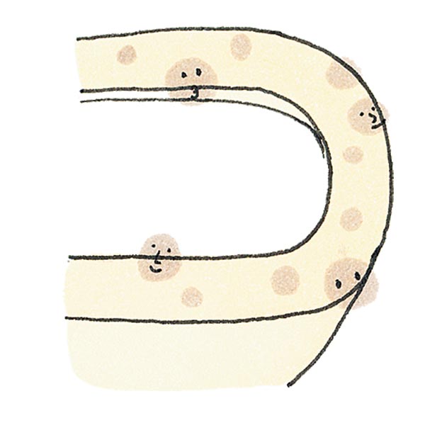 วิธีทำความสะอาดโถสุขภัณฑ์