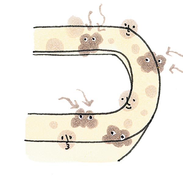 วิธีทำความสะอาดโถสุขภัณฑ์