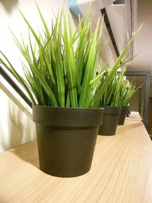 แต่งห้องรับแขก