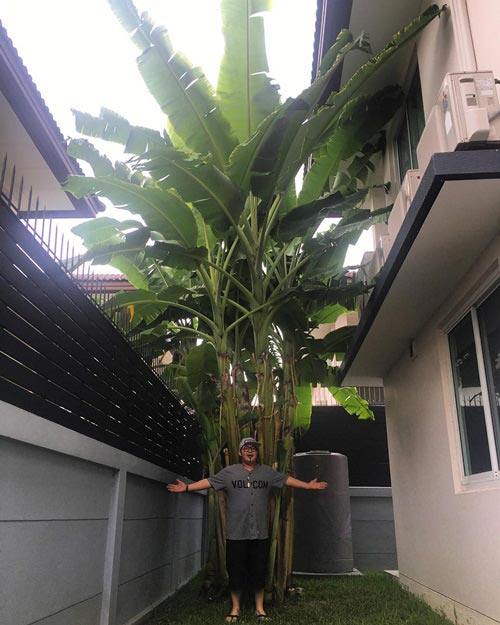 บ้านดีเจ